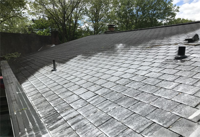 Remove Organic growth from your roof with a professional washing